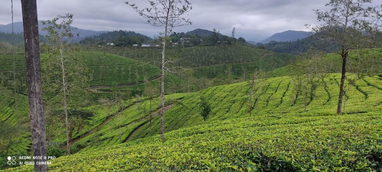 Dean Dale Cottages Thekkady Bagian luar foto