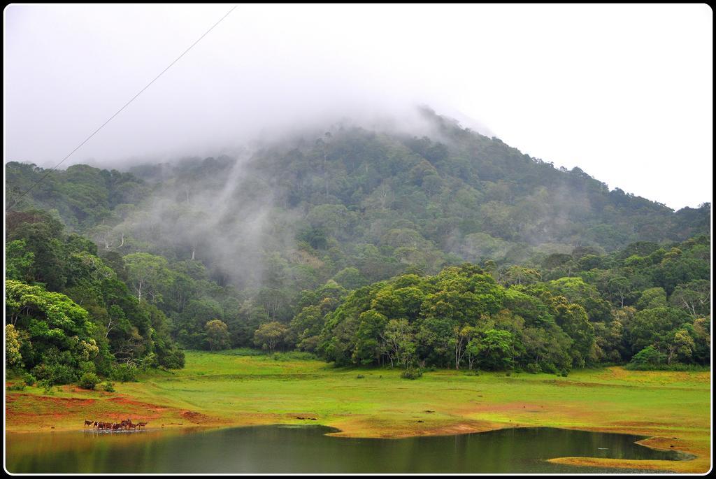 Dean Dale Cottages Thekkady Bagian luar foto