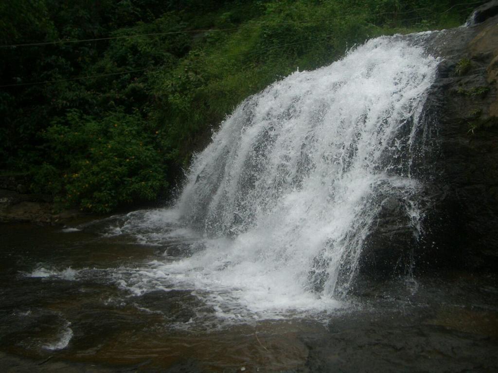 Dean Dale Cottages Thekkady Bagian luar foto